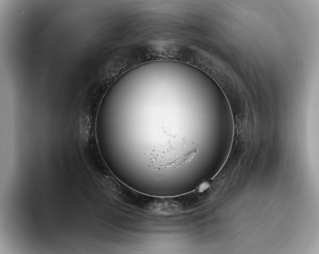 X0000094070752200710191119