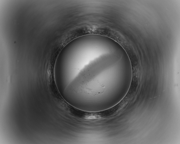 X0000094070754200710191119