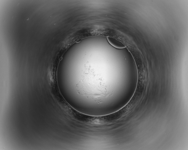 X0000094070755200710191119