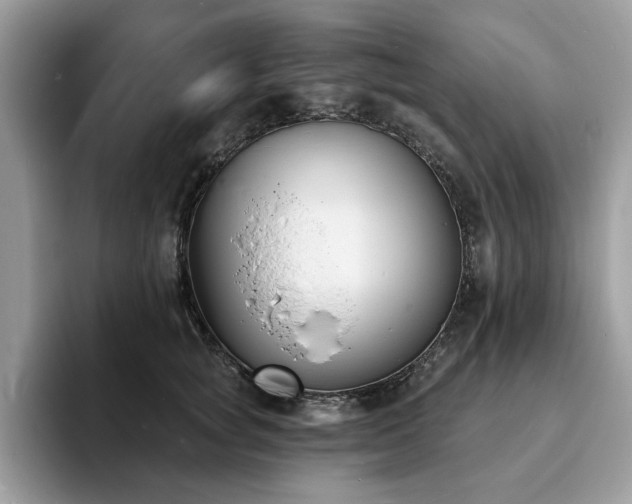 X0000094070757200710191119