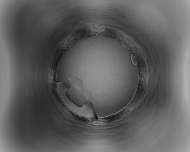 X0000094070758200710191119