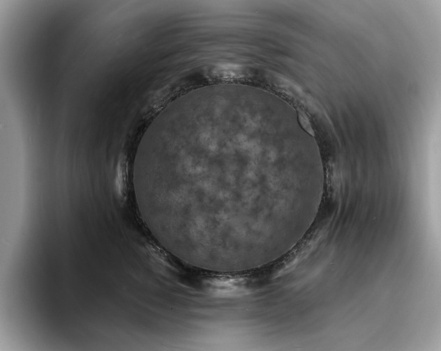 X0000094070760200710191119