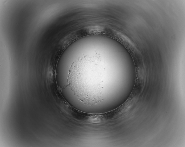X0000094070761200710191119