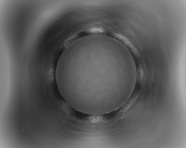 X0000094070762200710191119