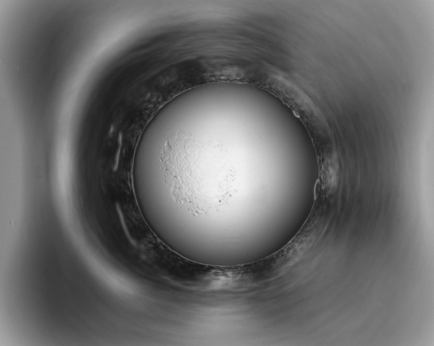 X0000094070764200710191119