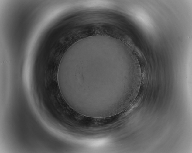 X0000094070765200710191119