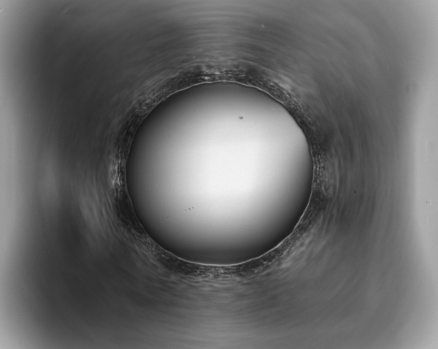 X0000094070770200710191119