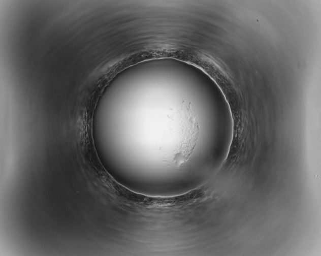 X0000094070773200710191119