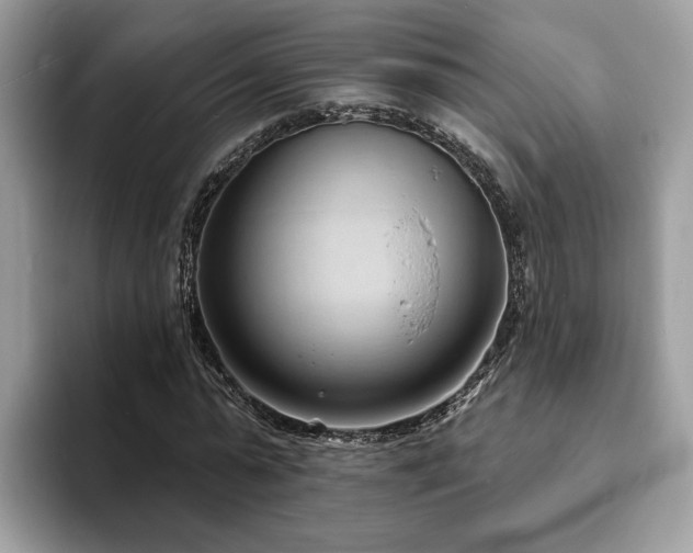 X0000094070775200710191119