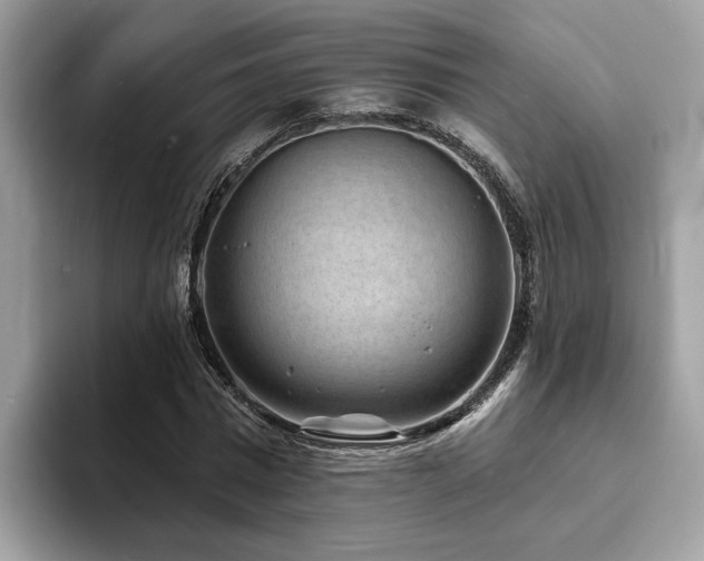 X0000094070777200710191119