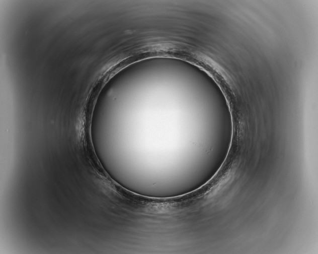 X0000094070778200710191119