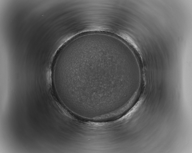 X0000094070781200710191119
