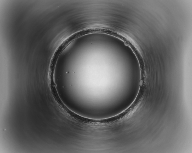X0000094070783200710191119