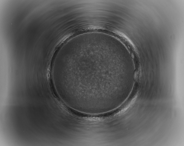 X0000094070785200710191119