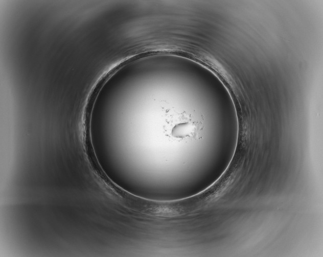 X0000094070787200710191119