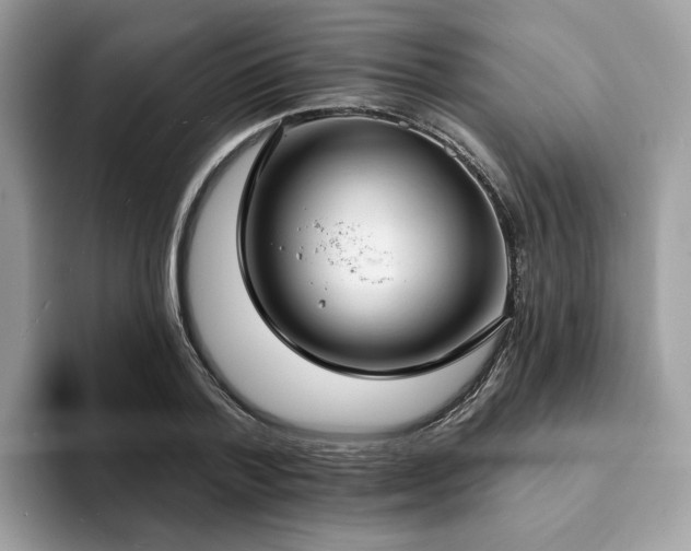 X0000094070788200710191119