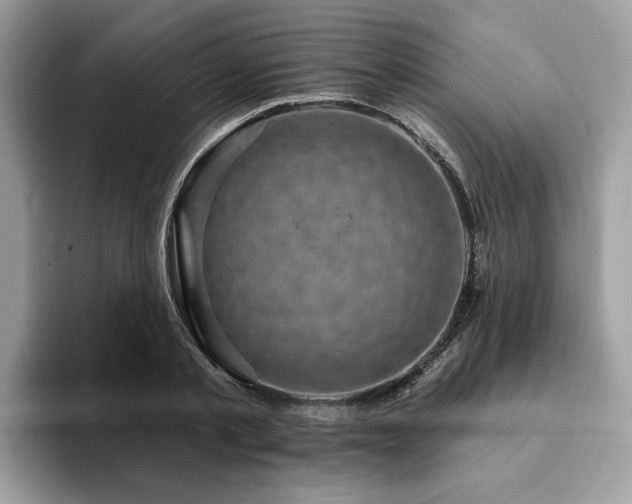 X0000094070789200710191119