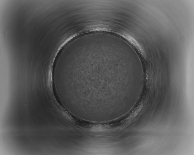 X0000094070790200710191119