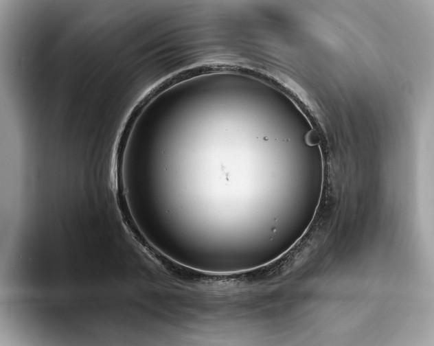 X0000094070791200710191119