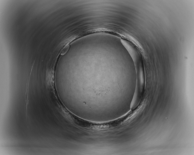 X0000094070793200710191119