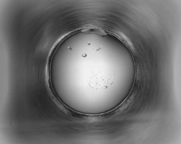 X0000094070796200710191119