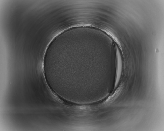 X0000094070797200710191119