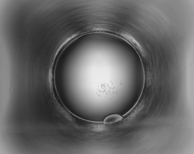 X0000094070798200710191119