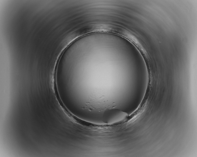 X0000094070802200710191119