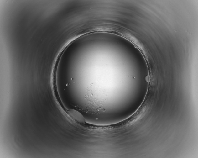 X0000094070803200710191119