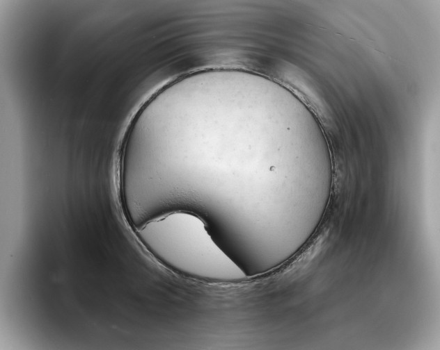 X0000094070804200710191119