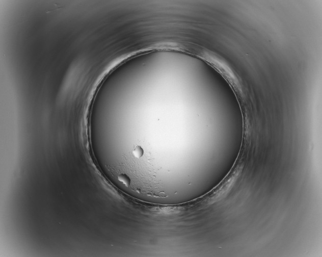 X0000094070808200710191119
