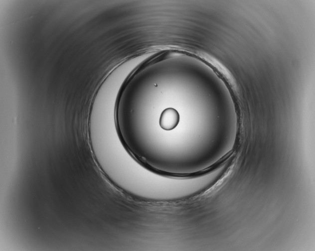 X0000094070809200710191118
