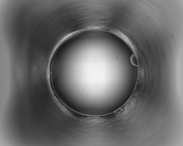 X0000094070811200710191118