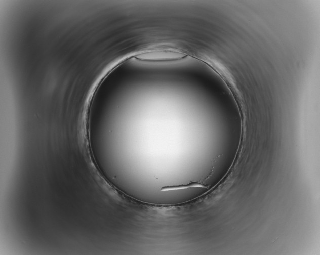 X0000094070816200710191118