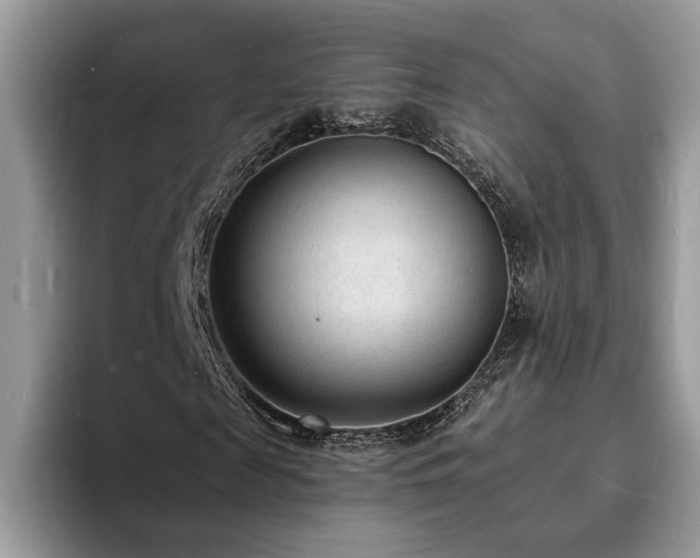 X0000094070817200710191118