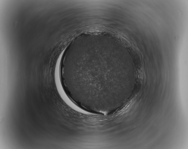 X0000094070818200710191118