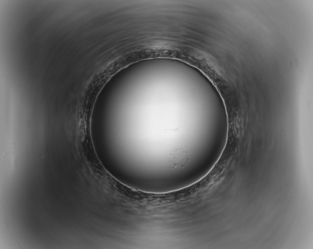 X0000094070821200710191118