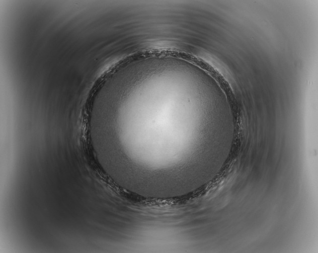 X0000094070823200710191118