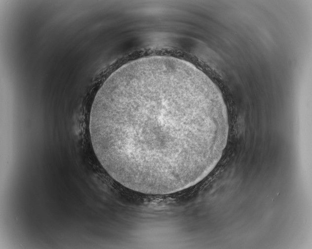 X0000094070824200710191118