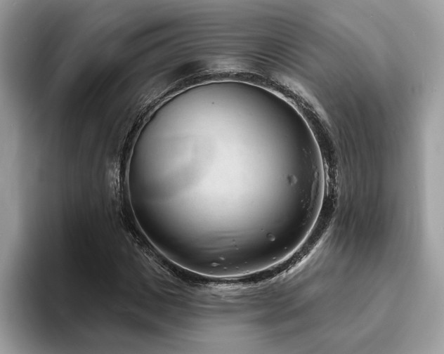 X0000094070825200710191118