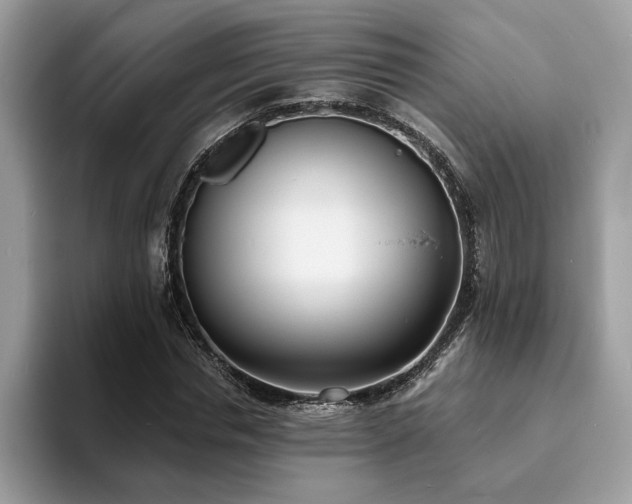 X0000094070826200710191118