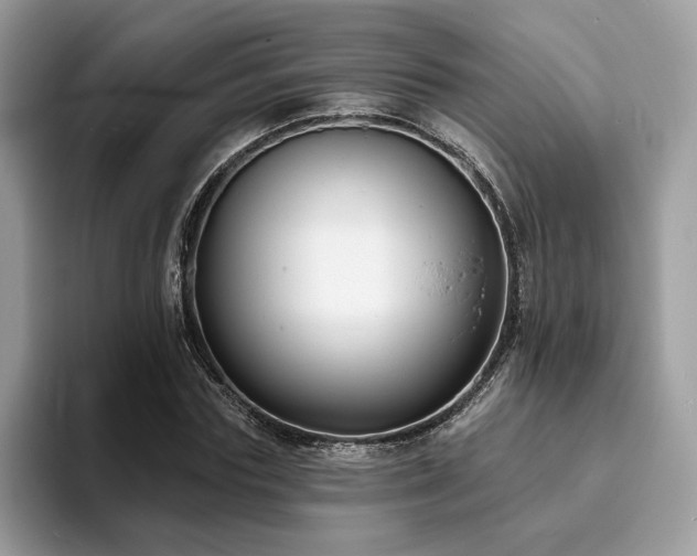 X0000094070827200710191118