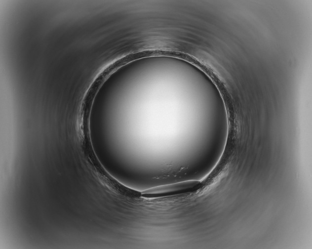 X0000094070830200710191118