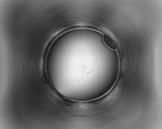 X0000094070831200710191118