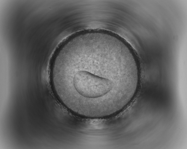 X0000094070832200710191118