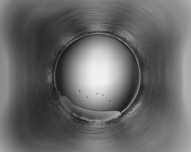 X0000094070833200710191118