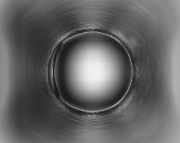 X0000094070834200710191118