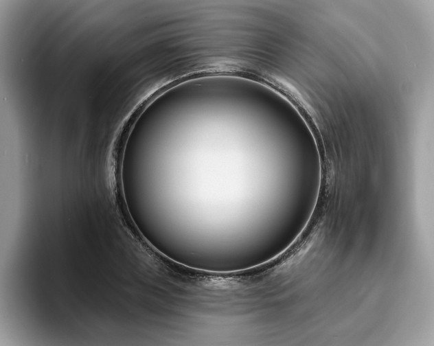 X0000094070835200710191118