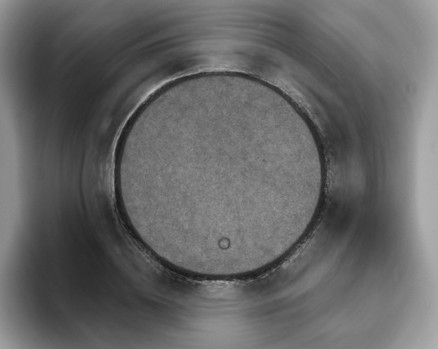 X0000094070836200710191118