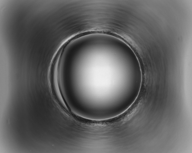 X0000094070838200710191118